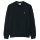 sweat-shirt homme  lacoste sweats