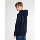 sweat-shirt garçon petrol industries boys sweater hooded print