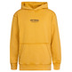 sweat-shirt garçon  petrol industries boys sweater hooded print