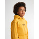 sweat-shirt garçon  petrol industries boys sweater hooded print