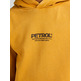 sweat-shirt garçon  petrol industries boys sweater hooded print