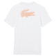 t-shirt homme  lacoste tee-shirts col roule homme adu