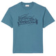 t-shirt homme  lacoste tee-shirt