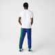t-shirt lacoste homme logo