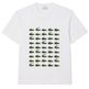 t-shirt homme  lacoste tee-shirt
