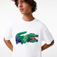 t-shirt homme  lacoste tee-shirt