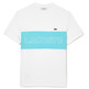 t-shirt homme  lacoste tee-shirt