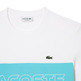 t-shirt homme  lacoste tee-shirt