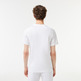 t-shirt homme  lacoste tee-shirt