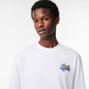t-shirt homme  lacoste tee-shirt