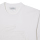 t-shirt homme  lacoste tee-shirt