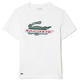 t-shirt homme  lacoste tee-shirt