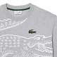 t-shirt homme  lacoste tee-shirt