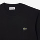t-shirt homme  lacoste tee-shirt