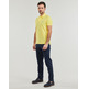 pôle homme  u.s. pôle king - uspa basic pôle ss