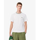 t-shirt homme  lacoste tee-shirt