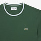 t-shirt homme  lacoste tee-shirt