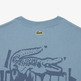 t-shirt homme  lacoste tee-shirt