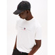 homme tjm reg flag linear ss tee ext ybl