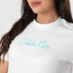 t-shirt femme  calvin klein w ss 20s classic logo tee
