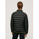 cazadora homme  pepe jeans jack