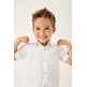 garçon d35431_boys shirt ss 53