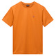 t-shirt homme  napapijri salis ss sum