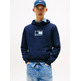homme tjm reg pop clr flag hoodie ex c1g