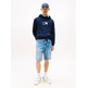 homme tjm reg pop clr flag hoodie ex c1g