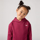 sweat-shirt fille levi's junior lvg batwing chest hit hoodie