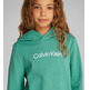 sweat-shirt calvin klein inst. logo reg. terry hoodie